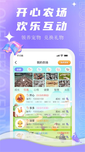 爱情岛论坛免费线路版软件在线下载