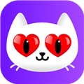黑桃tv下载安装