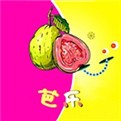 盘他app免费版