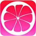 青青草app看片软件在线下载