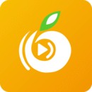 夜月视频直播安卓版