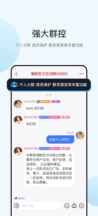 海鸥聊天加密软件国际版1