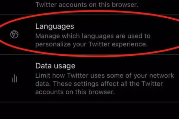 twitter中文版