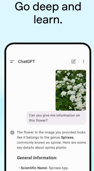 CHATGPT国内版本免费官网版1