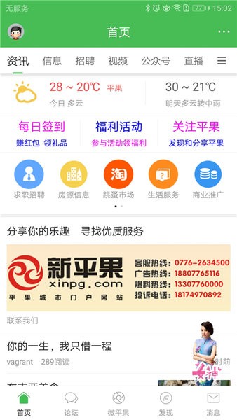 新平果网3