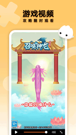 花瓣轻游1