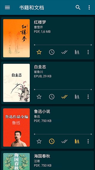 readera专业版1