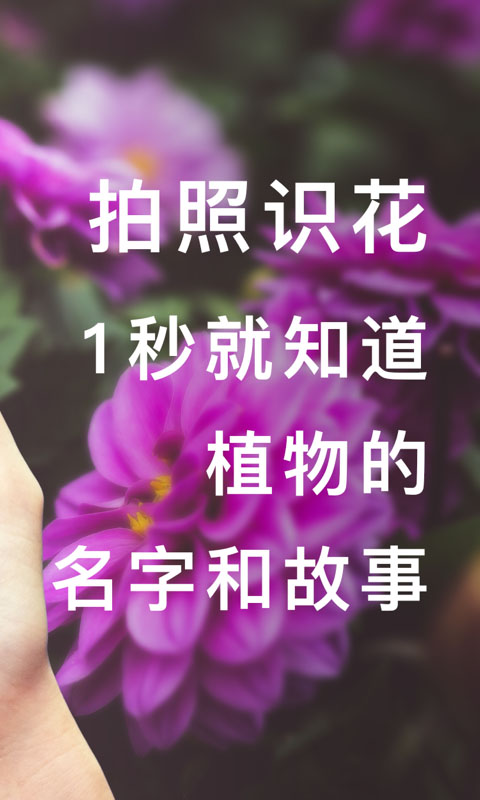 形色2