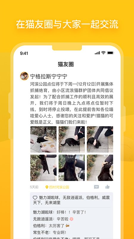 哈啰街猫2