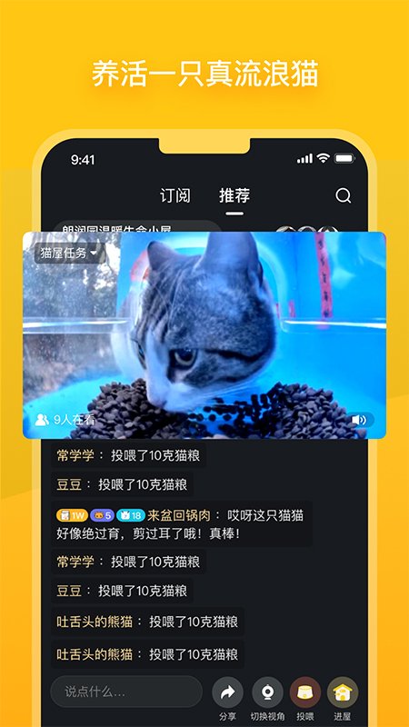 哈啰街猫3