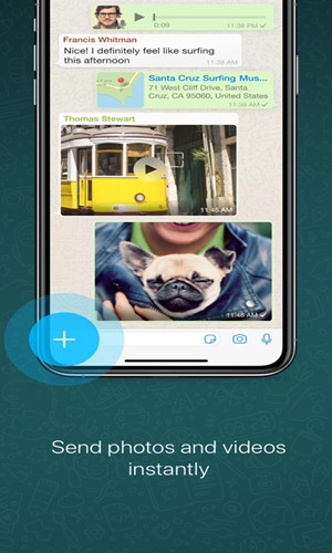 whatsapp下载安卓版2