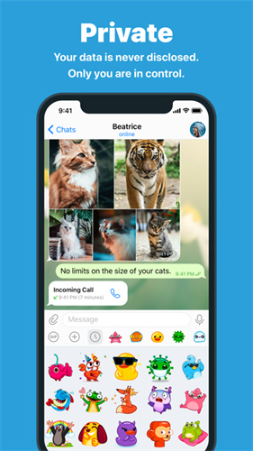 纸飞机聊天软件最新版3