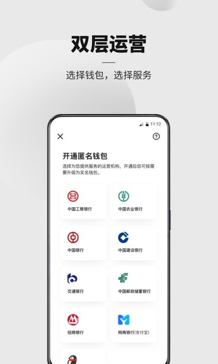 数字人民币3