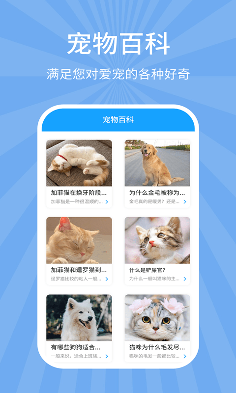 狗猫翻译器4