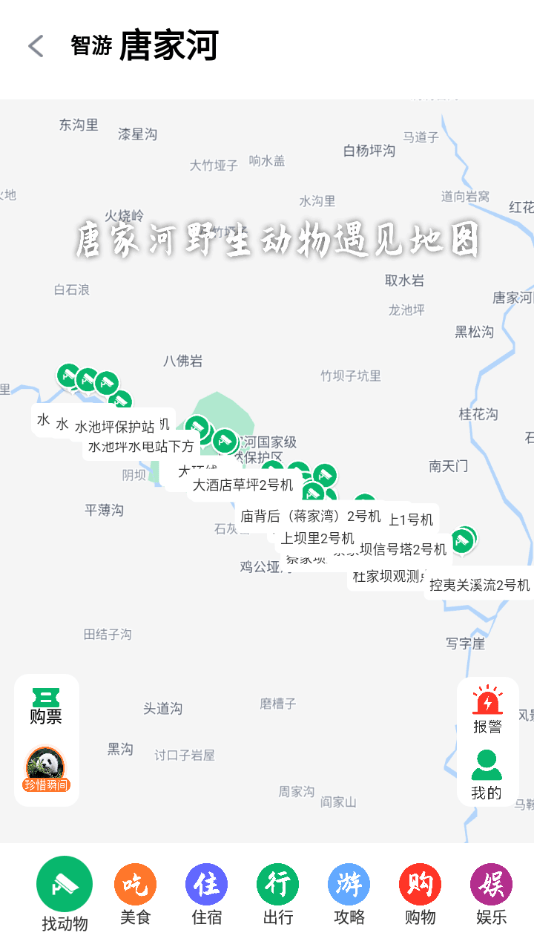 智游青川0