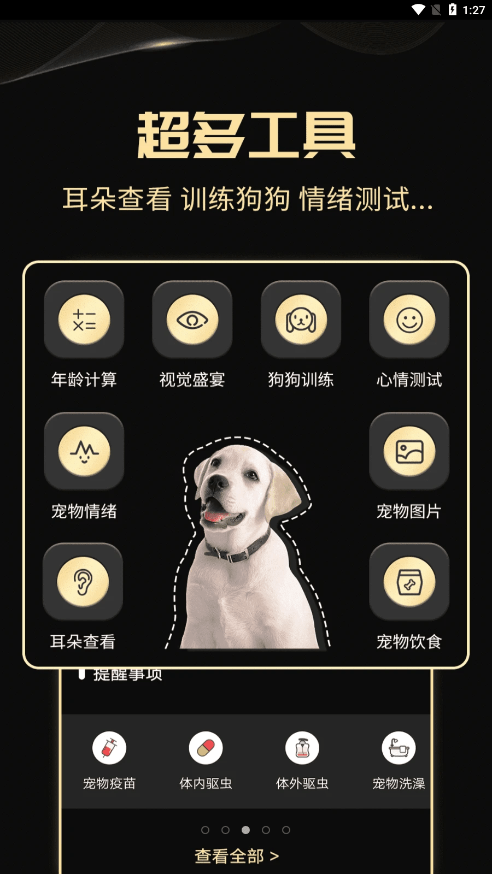 人狗交流神器1
