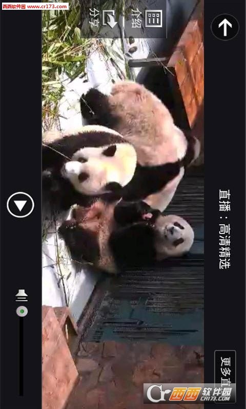 ipanda熊猫频道0