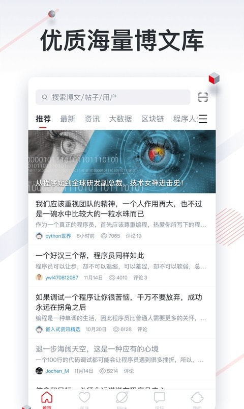 CSDN(专业IT开发者社区)2