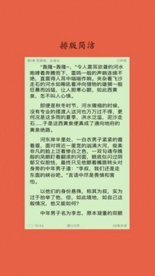 淡雅小说1
