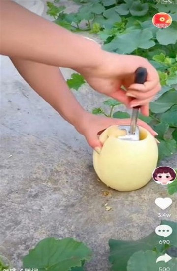 南猴短视频2