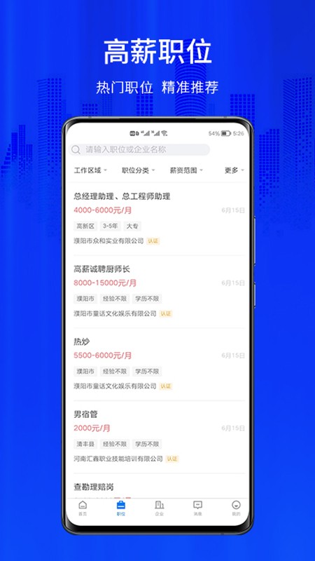 大濮人才网2