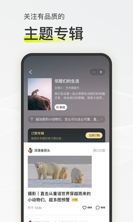 迷岛社交2