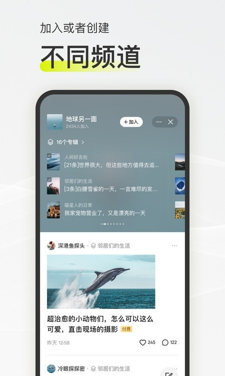 迷岛社交1