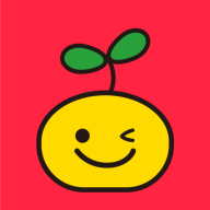 橘兜账本安卓中文免费下载