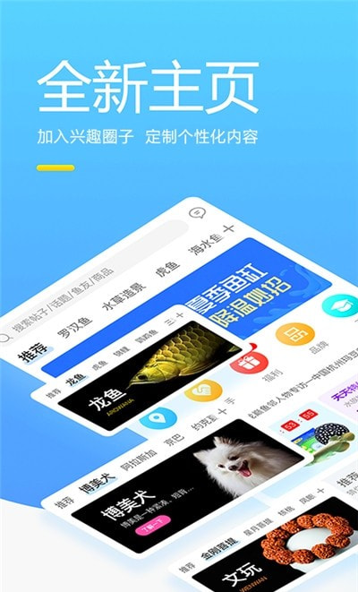 龙巅鱼邻3