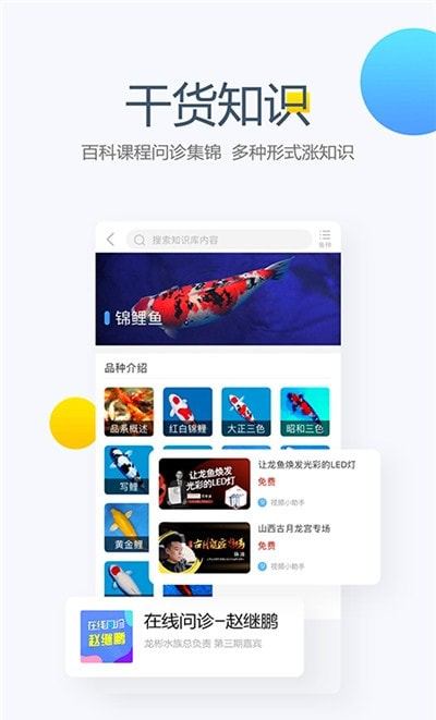 龙巅鱼邻2
