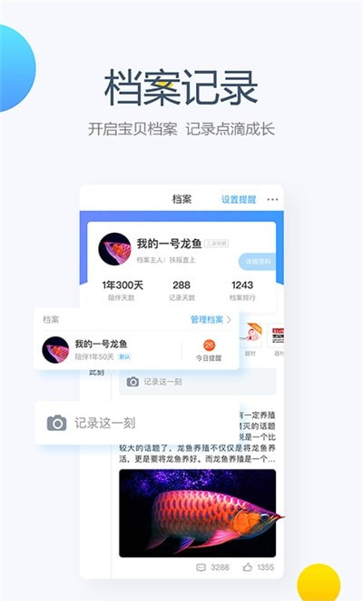 龙巅鱼邻1
