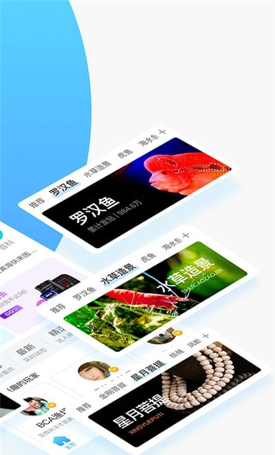 龙巅鱼邻0