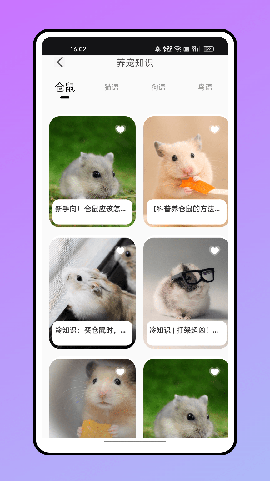 仓鼠翻译器2