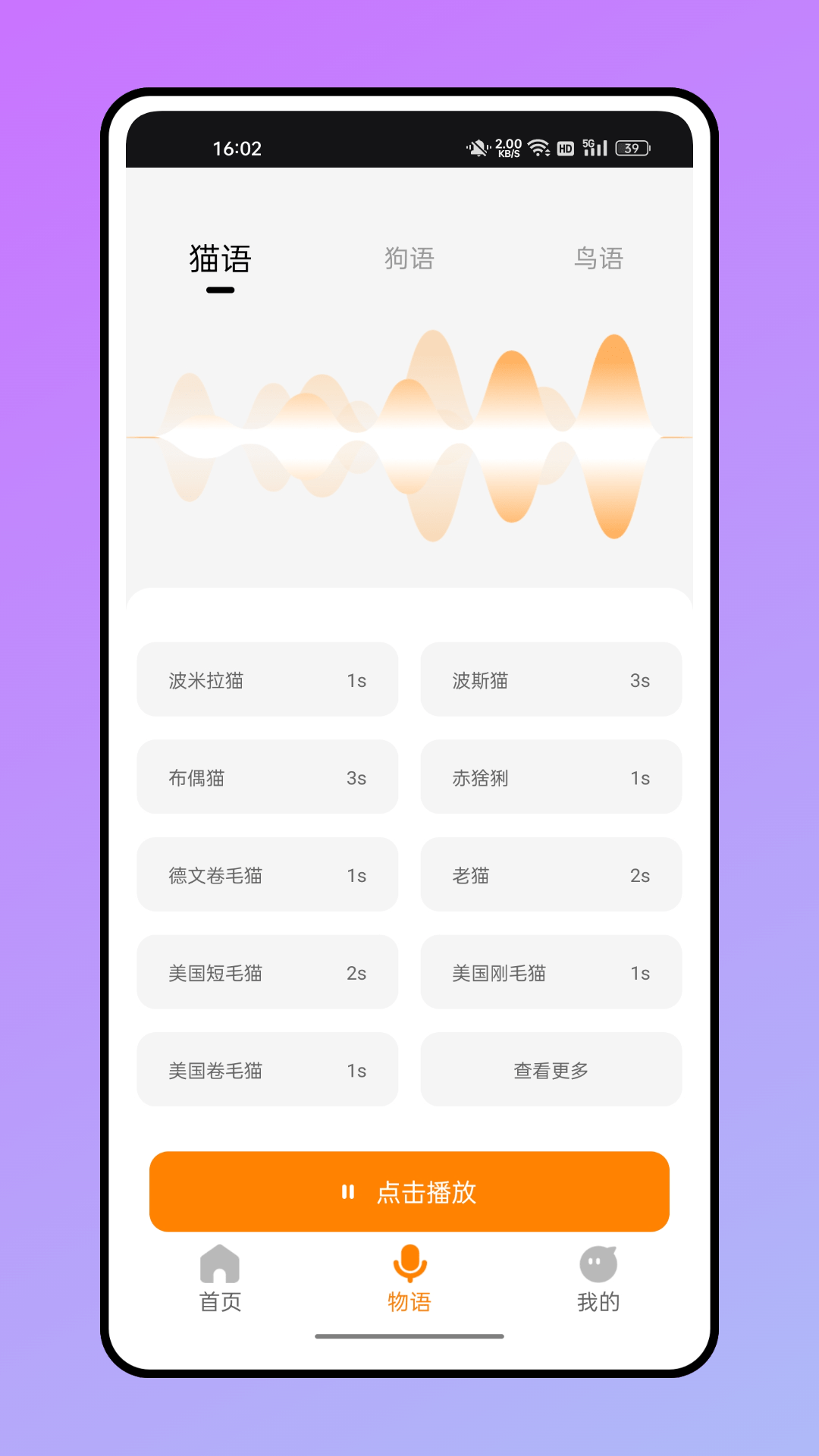 仓鼠翻译器1