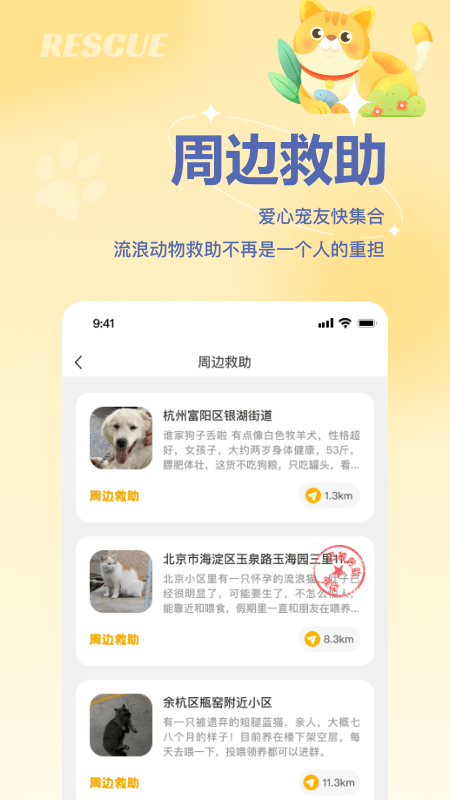 宠谈3