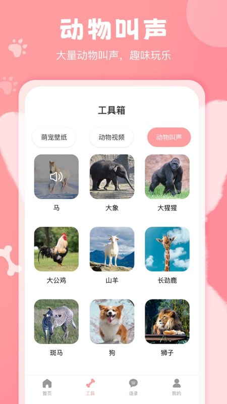 猫狗语翻译器3