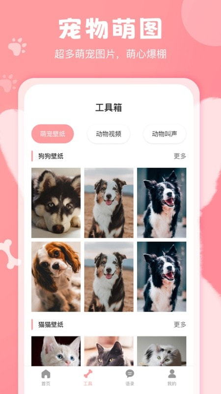 猫狗语翻译器2