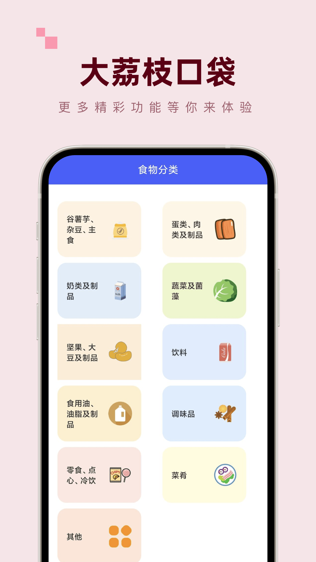大荔枝口袋2