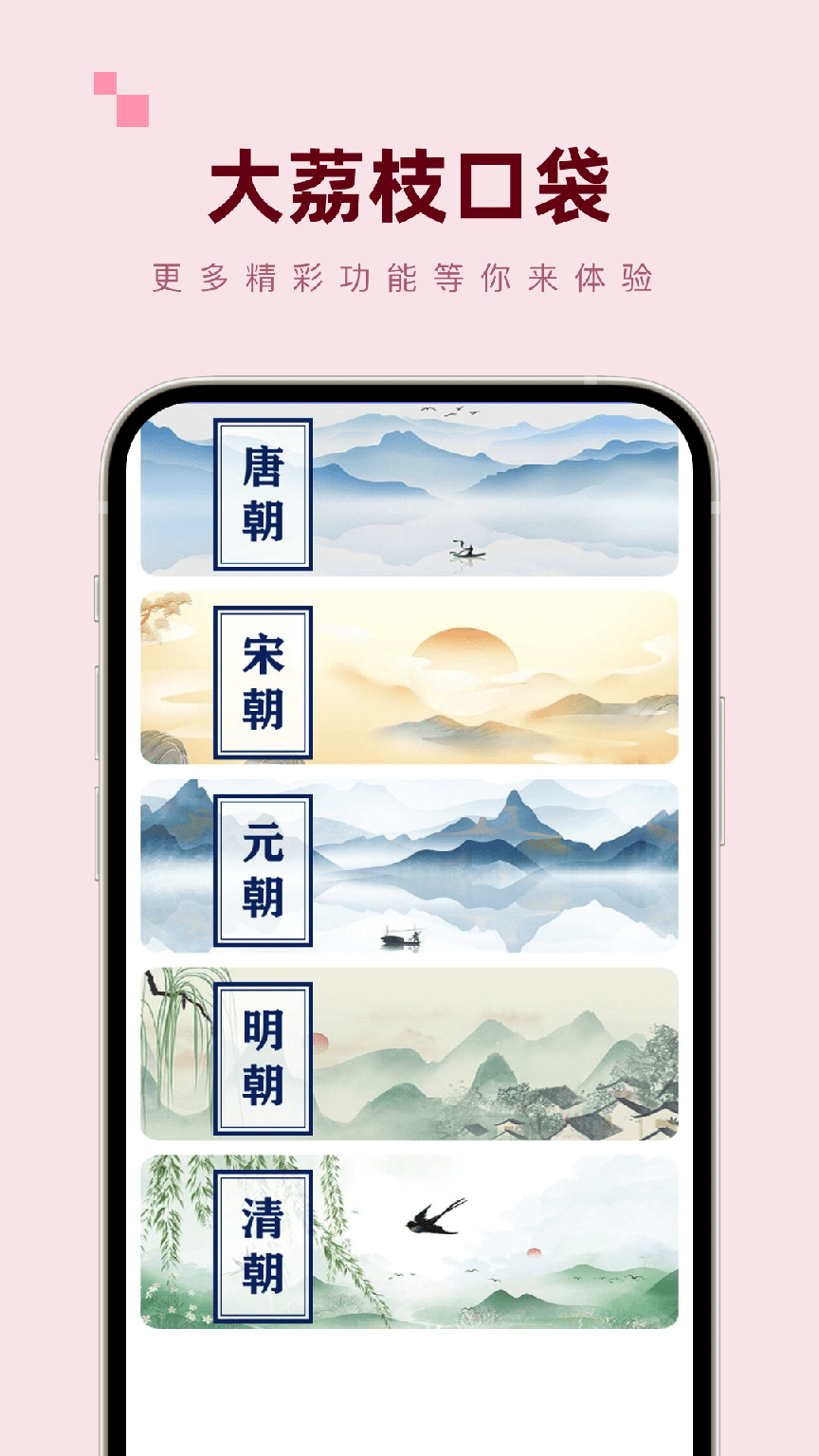 大荔枝口袋1