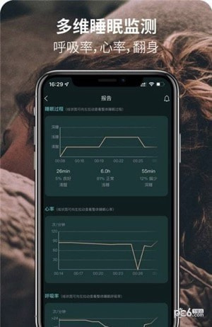 桑果智+2