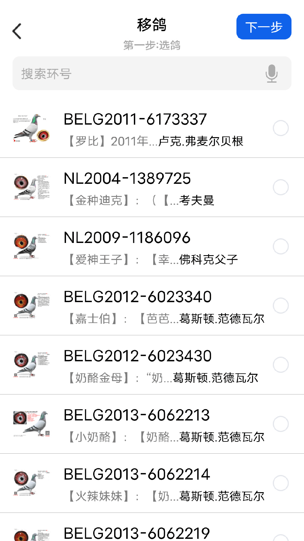 信鸽云1