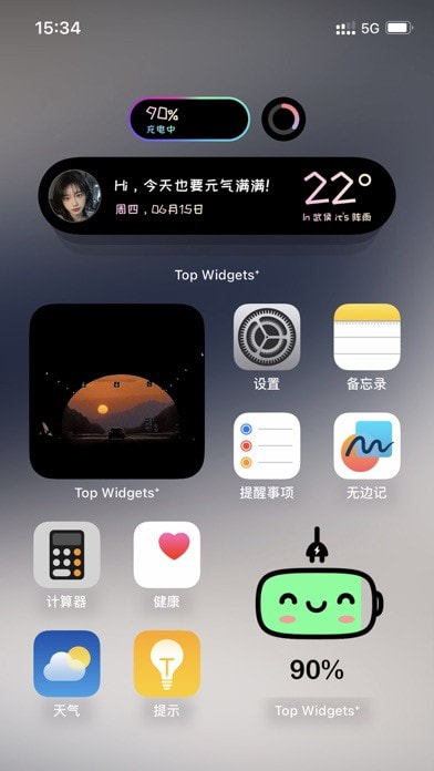 Top Widgets苹果版3