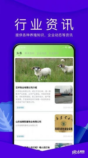 羊小宝0