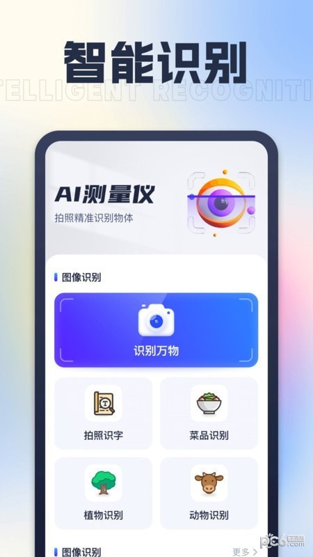 AI测量仪1