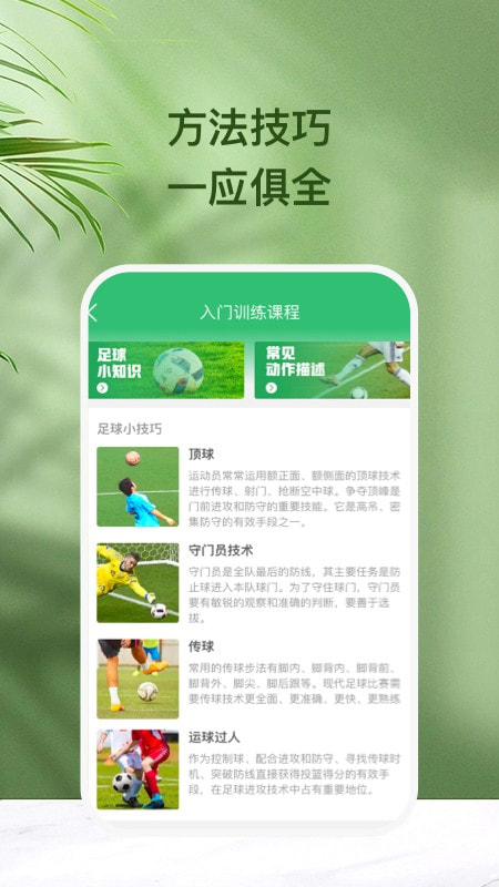 绿茵球球1