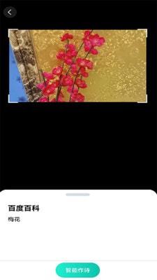 趣萌识别1