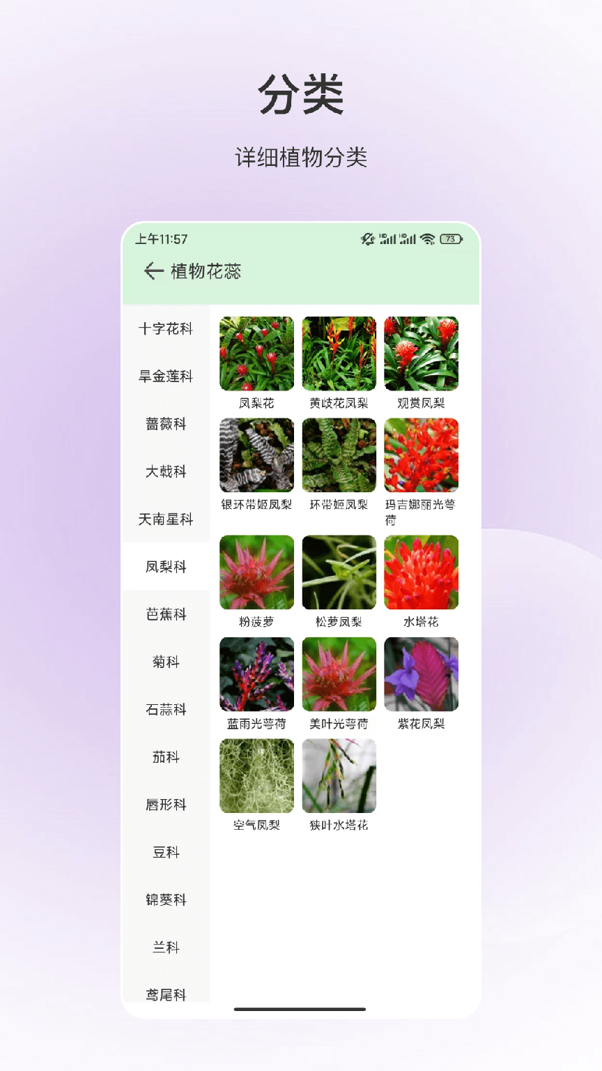 动物识别2