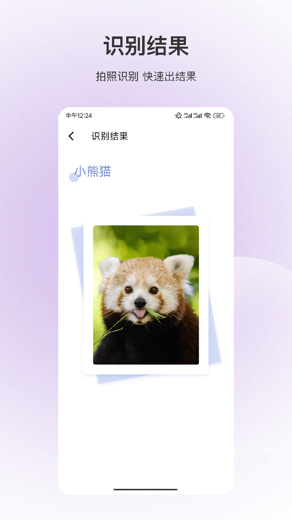 动物识别1