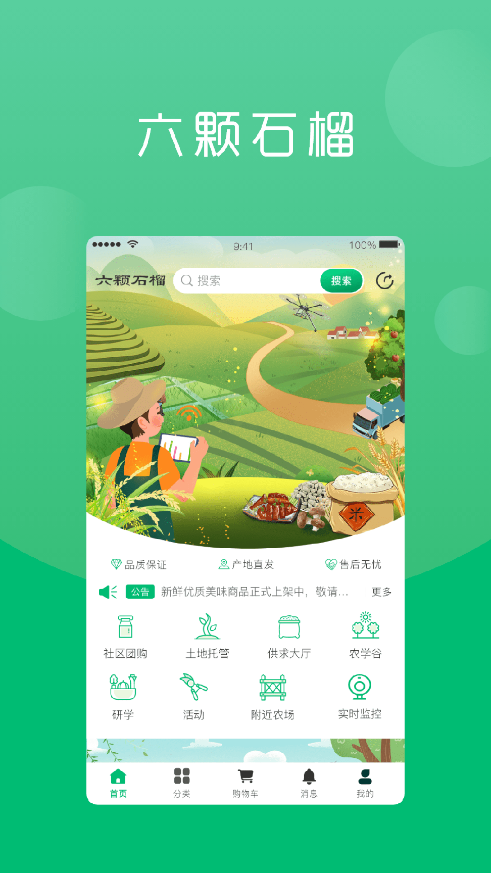 六棵石榴3
