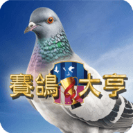 赛鸽大亨（賽鴿）安卓下载